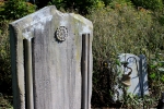 The graveyard