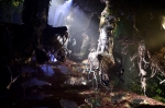 hanging trees (1)